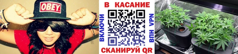 Где купить наркотики Верещагино АМФ  Каннабис  Псилоцибиновые грибы  Гашиш  COCAIN  МЕФ 