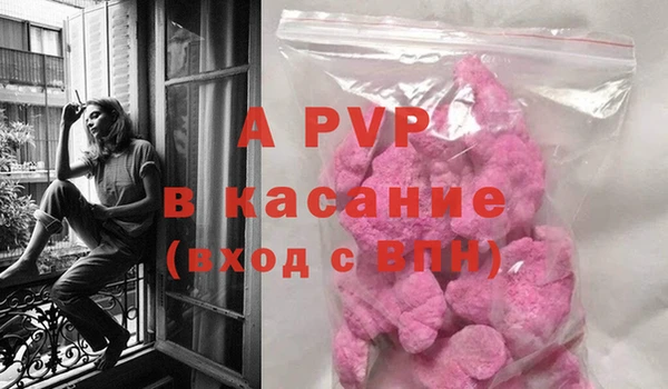 jwh Белокуриха