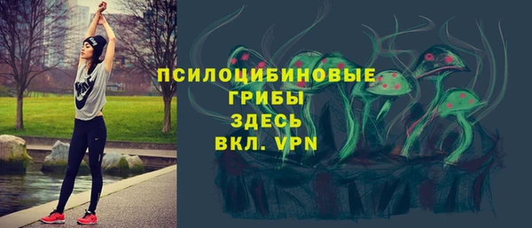 jwh Белокуриха